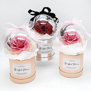 ��y�R�� �����åͪ����