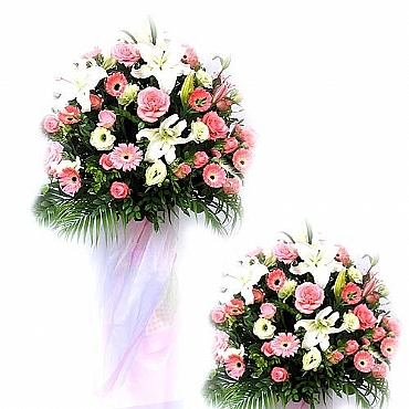 �i�ܷ|�e§ ���[���x §�~�ث~